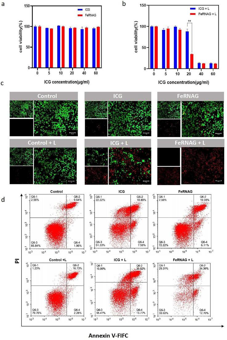 https://cdn.ncbi.nlm.nih.gov/pmc/blobs/25f8/12327862/5ca8fe0ec000/gr4.jpg