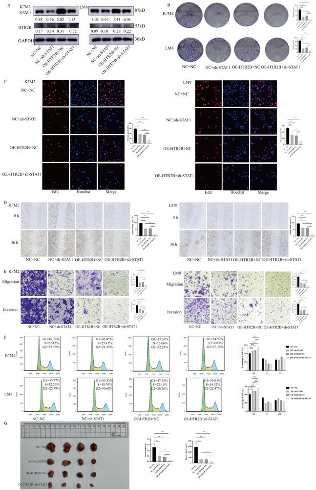 https://cdn.ncbi.nlm.nih.gov/pmc/blobs/25f8/12362726/1761a02dc08c/ADVS-12-e15276-g006.jpg