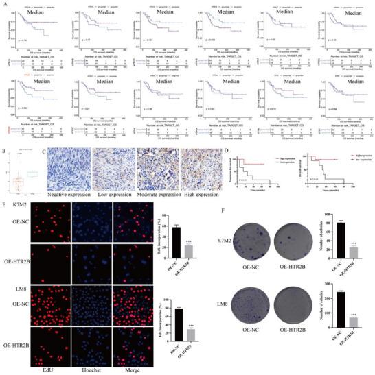 https://cdn.ncbi.nlm.nih.gov/pmc/blobs/25f8/12362726/34669b48e3a3/ADVS-12-e15276-g007.jpg