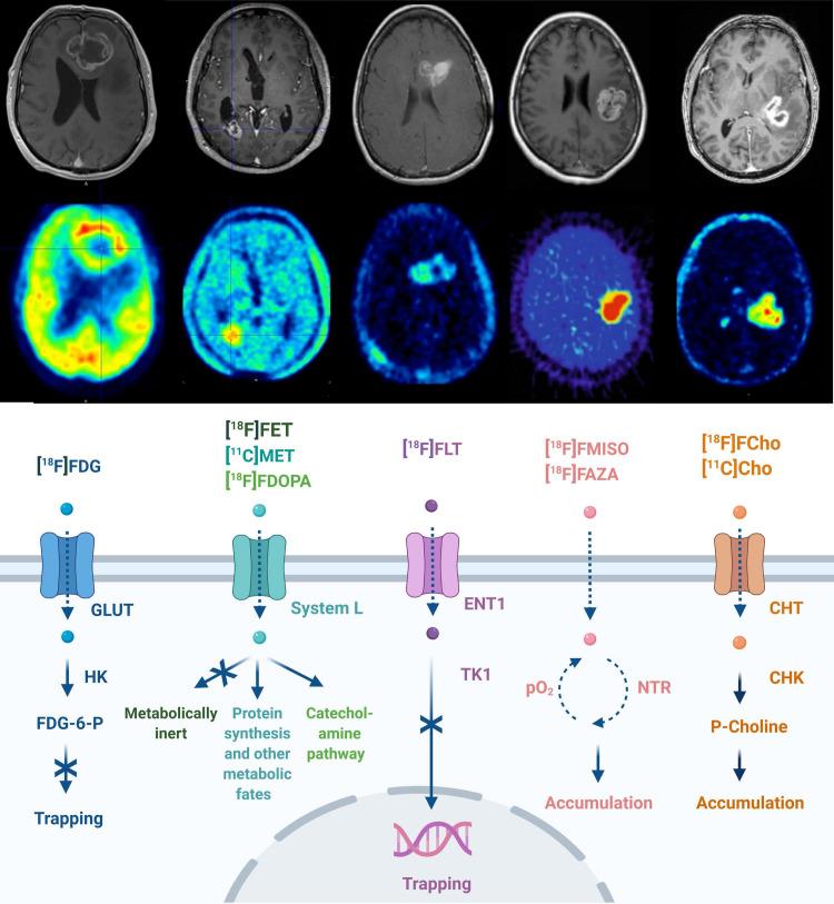 https://cdn.ncbi.nlm.nih.gov/pmc/blobs/25fb/8315062/6a2fc7f3a1d1/thnov11p7911g001.jpg
