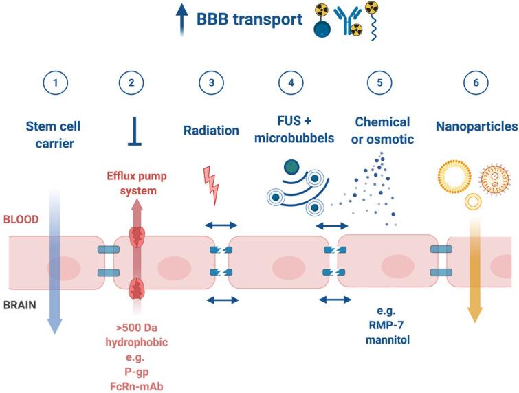https://cdn.ncbi.nlm.nih.gov/pmc/blobs/25fb/8315062/d6007e723bff/thnov11p7911g005.jpg