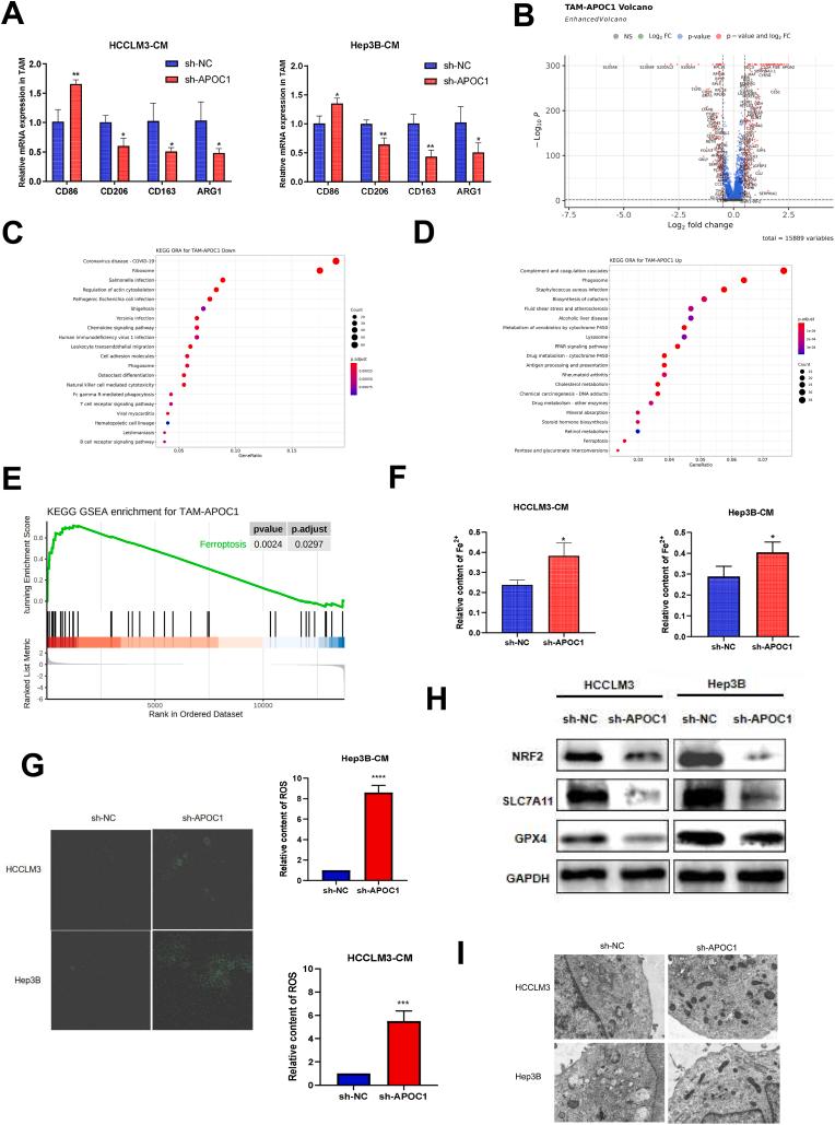 https://cdn.ncbi.nlm.nih.gov/pmc/blobs/25fb/9482117/2dae9acef359/gr5.jpg