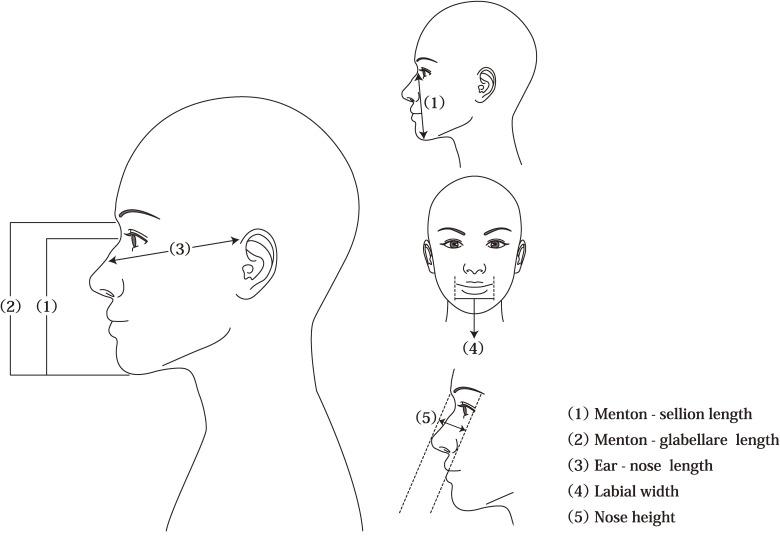 https://cdn.ncbi.nlm.nih.gov/pmc/blobs/25fd/10898862/58da7794fe52/ehpm-29-008-g001.jpg