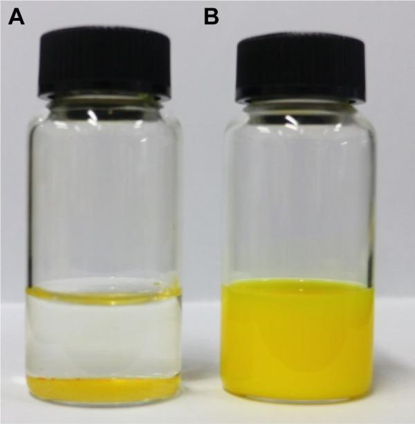 https://cdn.ncbi.nlm.nih.gov/pmc/blobs/25fd/4935090/7feacfa401ff/ijn-11-3009Fig2.jpg