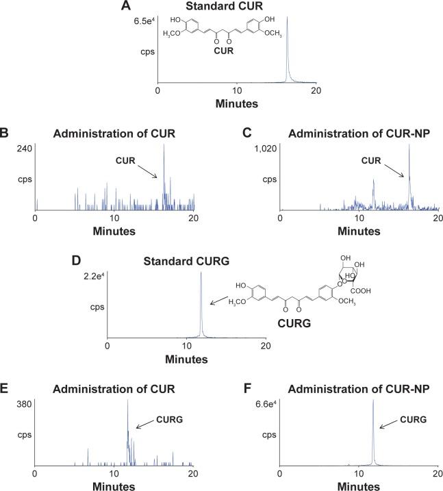 https://cdn.ncbi.nlm.nih.gov/pmc/blobs/25fd/4935090/e442070b7e60/ijn-11-3009Fig3.jpg