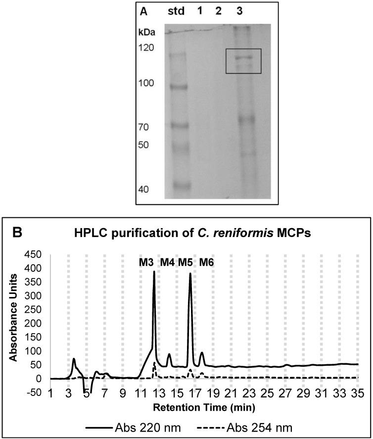 https://cdn.ncbi.nlm.nih.gov/pmc/blobs/25fd/6316299/a01076177a9a/marinedrugs-16-00465-g001.jpg