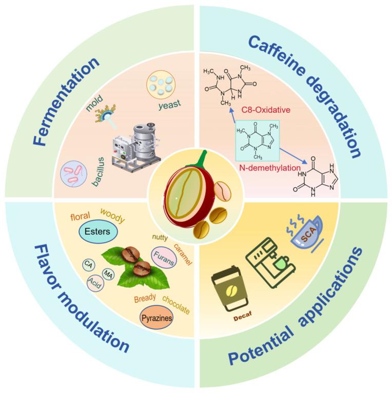 https://cdn.ncbi.nlm.nih.gov/pmc/blobs/2600/12346622/f680338b32ed/foods-14-02606-g004.jpg