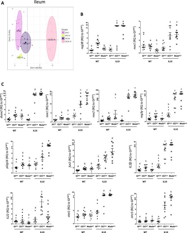 https://cdn.ncbi.nlm.nih.gov/pmc/blobs/2600/6685975/df4f7181842a/41598_2019_47611_Fig3_HTML.jpg