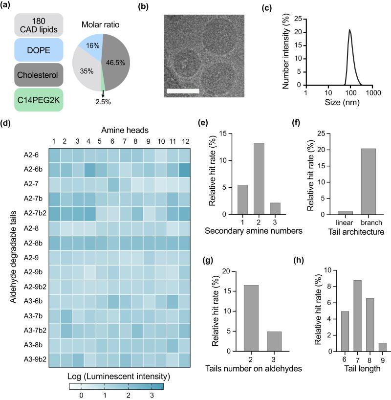 https://cdn.ncbi.nlm.nih.gov/pmc/blobs/2601/10904786/98f27da1879b/41467_2024_45422_Fig2_HTML.jpg