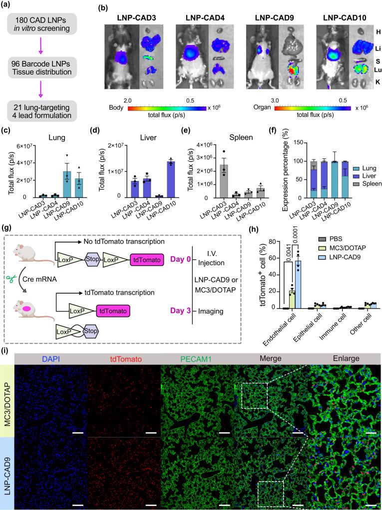 https://cdn.ncbi.nlm.nih.gov/pmc/blobs/2601/10904786/d3dcd1e6f8c2/41467_2024_45422_Fig4_HTML.jpg
