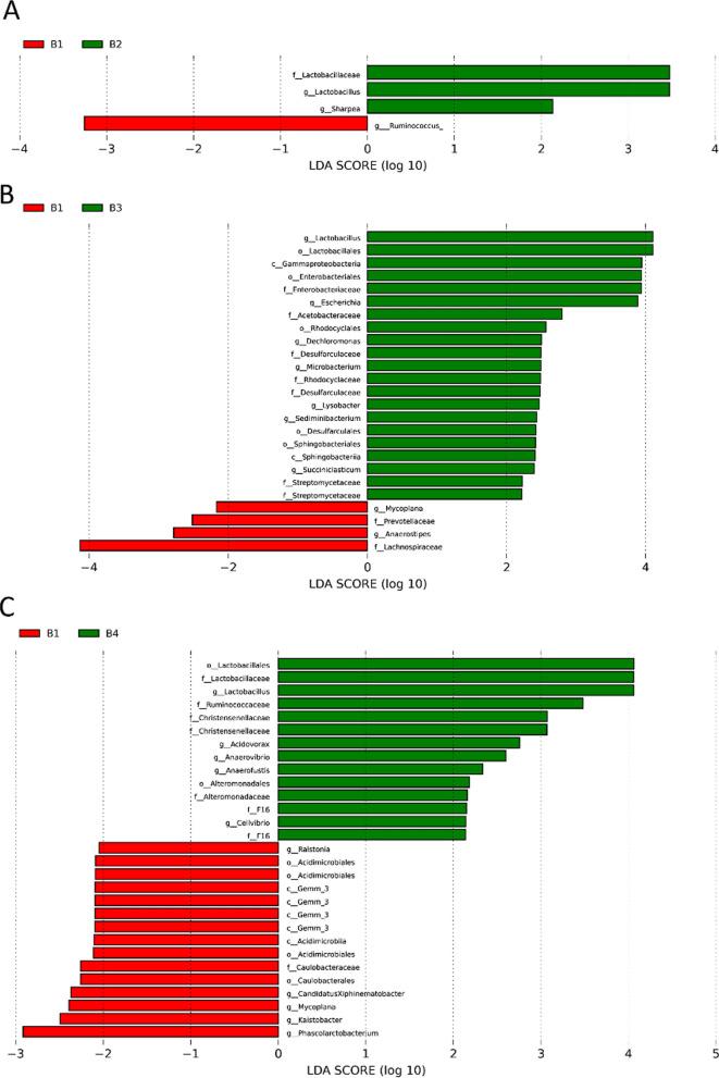 https://cdn.ncbi.nlm.nih.gov/pmc/blobs/2602/8638484/7bd4c9096fd1/12967_2021_3152_Fig4_HTML.jpg
