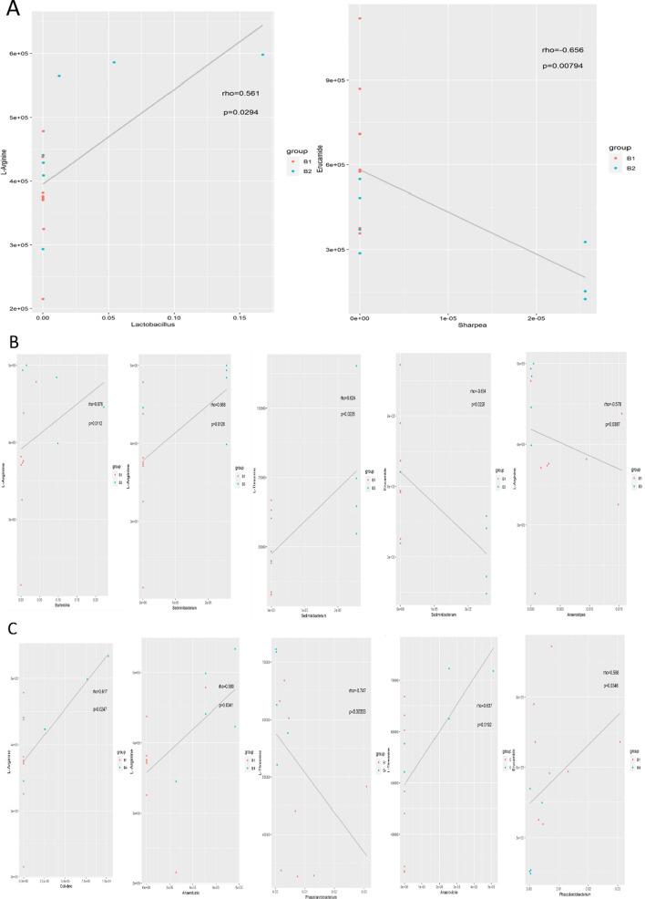 https://cdn.ncbi.nlm.nih.gov/pmc/blobs/2602/8638484/a632ad3d2bd5/12967_2021_3152_Fig11_HTML.jpg
