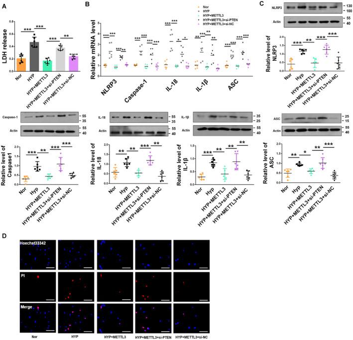 https://cdn.ncbi.nlm.nih.gov/pmc/blobs/2605/11681462/46729f674909/JAH3-13-e034470-g005.jpg