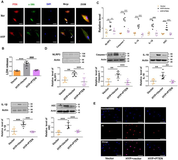 https://cdn.ncbi.nlm.nih.gov/pmc/blobs/2605/11681462/63752ecd640b/JAH3-13-e034470-g004.jpg