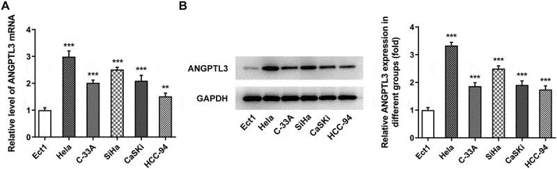 https://cdn.ncbi.nlm.nih.gov/pmc/blobs/2605/8974177/8a71eafdbd2f/KBIE_A_2024951_F0001_B.jpg