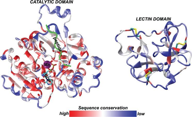 https://cdn.ncbi.nlm.nih.gov/pmc/blobs/2606/5407767/23dc9f4b9b95/pone.0176479.g002.jpg