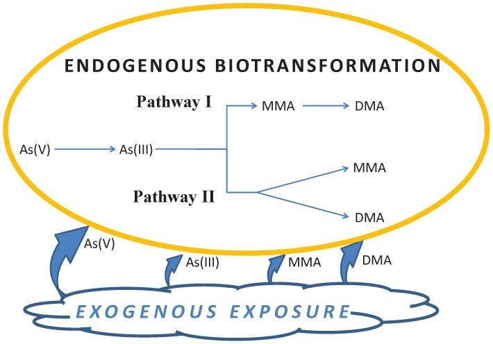 https://cdn.ncbi.nlm.nih.gov/pmc/blobs/260a/4176478/a48357b0ce3f/pone.0108098.g001.jpg