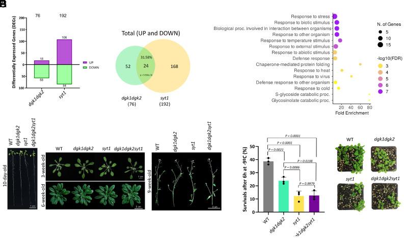 https://cdn.ncbi.nlm.nih.gov/pmc/blobs/260b/12167946/ad70a7b0f321/pnas.2421334122fig04.jpg