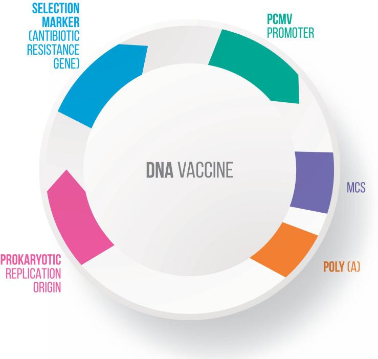 https://cdn.ncbi.nlm.nih.gov/pmc/blobs/260b/7672206/f402c40a0a3b/fbioe-08-517166-g003.jpg