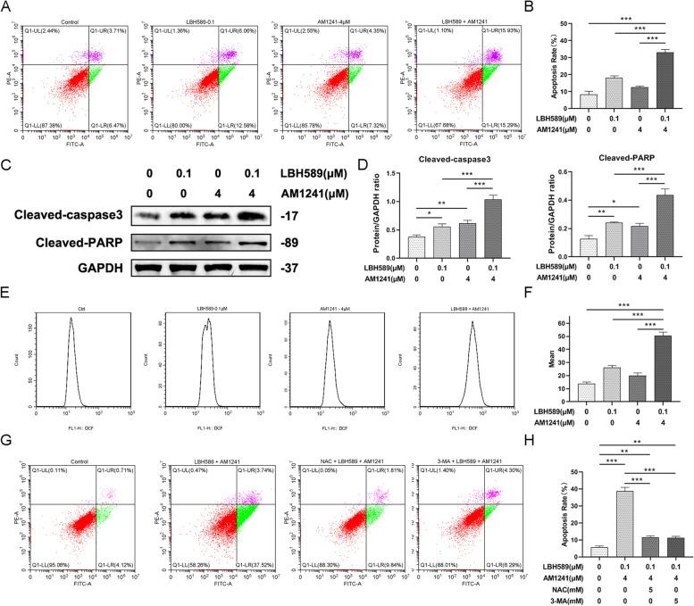 https://cdn.ncbi.nlm.nih.gov/pmc/blobs/2610/10517494/1ca0ec083924/40360_2023_686_Fig5_HTML.jpg