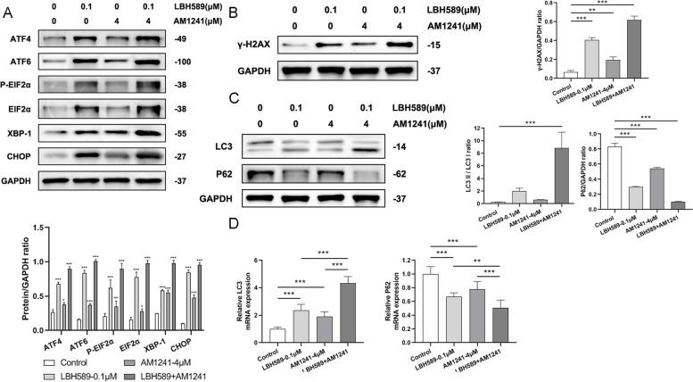 https://cdn.ncbi.nlm.nih.gov/pmc/blobs/2610/10517494/a457f7497c2e/40360_2023_686_Fig4_HTML.jpg