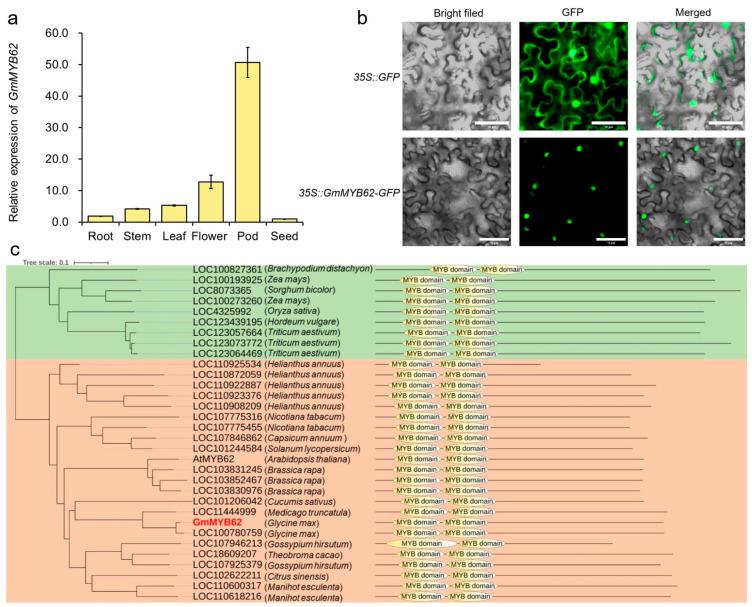 https://cdn.ncbi.nlm.nih.gov/pmc/blobs/2610/12026657/49bbbdb14bdd/ijms-26-03457-g002.jpg