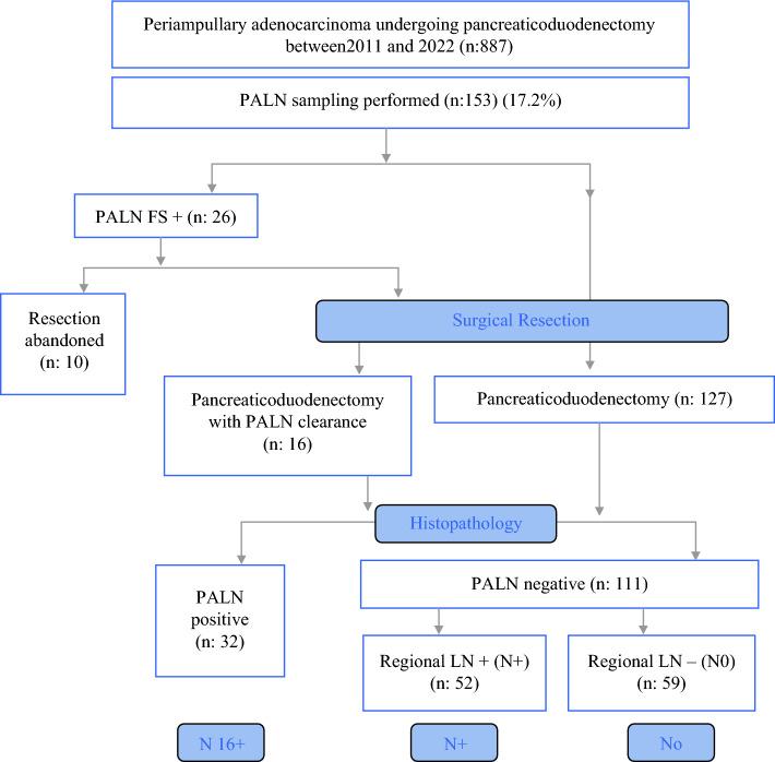 https://cdn.ncbi.nlm.nih.gov/pmc/blobs/2611/11413064/3c0662fec032/10434_2024_15847_Fig1_HTML.jpg