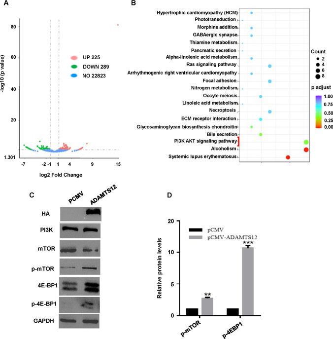 https://cdn.ncbi.nlm.nih.gov/pmc/blobs/2612/10465472/02e63e964de0/12672_2023_776_Fig5_HTML.jpg