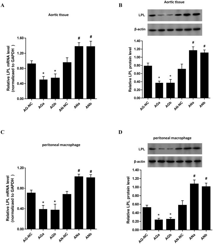 https://cdn.ncbi.nlm.nih.gov/pmc/blobs/2612/4892477/3146905307aa/pone.0157085.g002.jpg