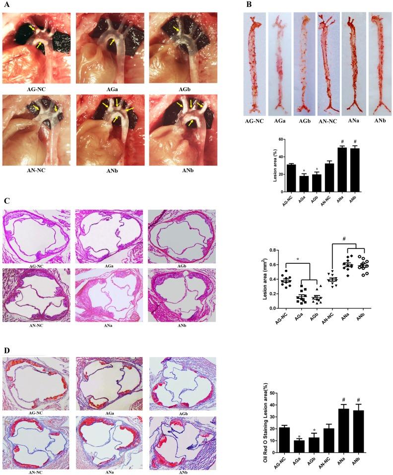 https://cdn.ncbi.nlm.nih.gov/pmc/blobs/2612/4892477/59652463d93b/pone.0157085.g007.jpg
