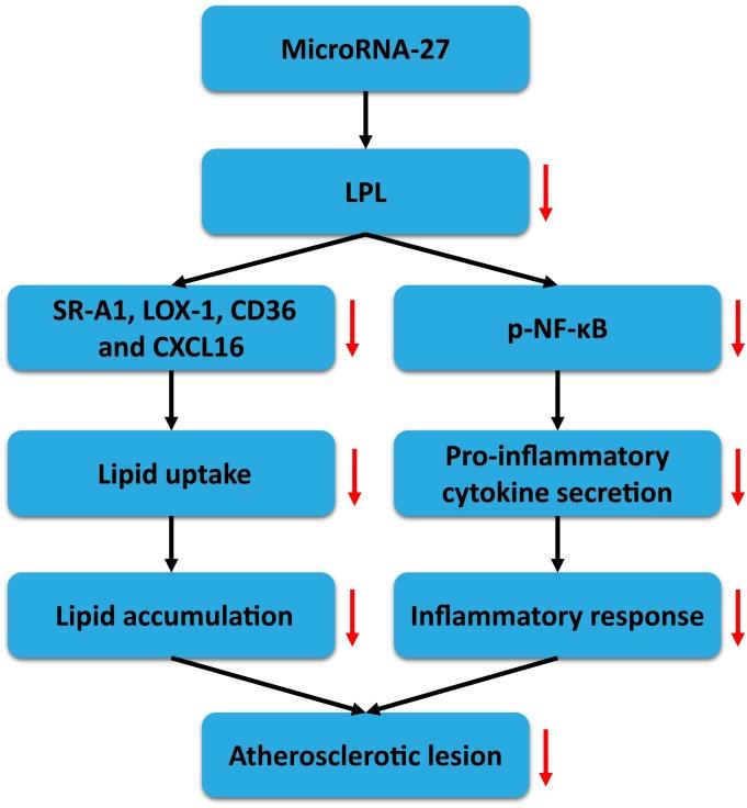 https://cdn.ncbi.nlm.nih.gov/pmc/blobs/2612/4892477/6b4951dac0ca/pone.0157085.g008.jpg