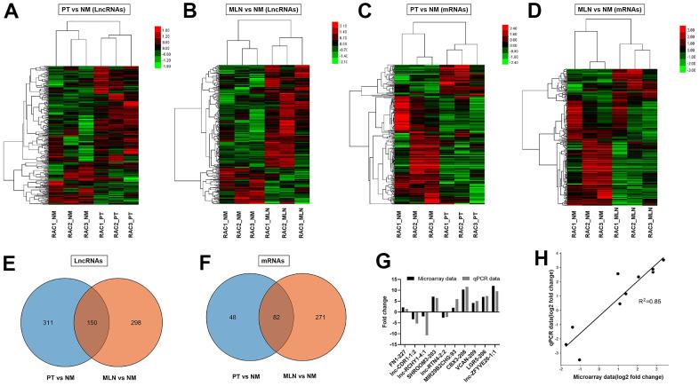 https://cdn.ncbi.nlm.nih.gov/pmc/blobs/2613/8751602/e56050b526a2/aging-13-203775-g001.jpg