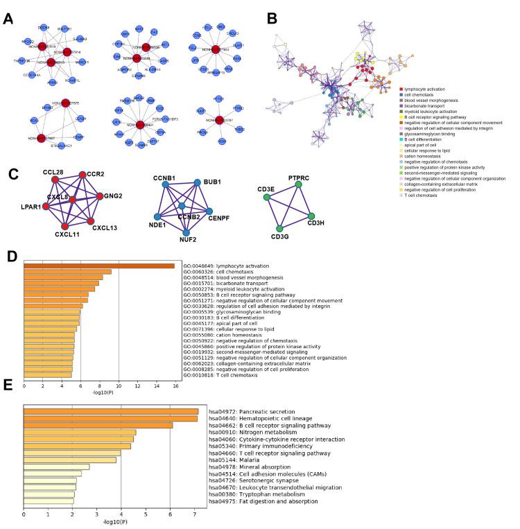 https://cdn.ncbi.nlm.nih.gov/pmc/blobs/2613/8751602/ecaf6bfbc63f/aging-13-203775-g005.jpg