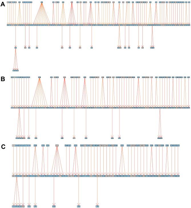 https://cdn.ncbi.nlm.nih.gov/pmc/blobs/2616/4978521/4809b78f5a53/elife-16644-fig3-figsupp2.jpg