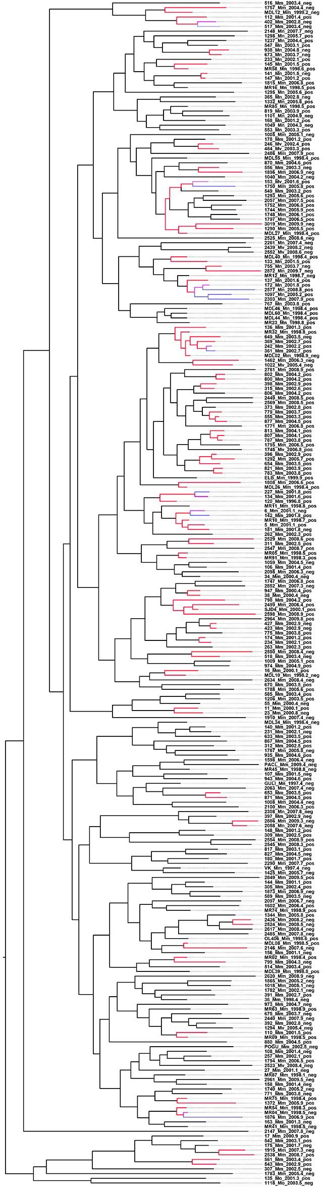https://cdn.ncbi.nlm.nih.gov/pmc/blobs/2616/4978521/4a0b8d26acf0/elife-16644-fig3-figsupp3.jpg