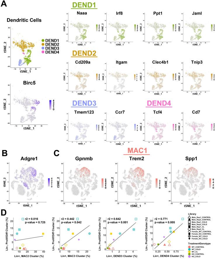https://cdn.ncbi.nlm.nih.gov/pmc/blobs/261d/9348851/0d682b363ca8/elife-80167-fig6-figsupp1.jpg