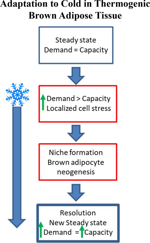 https://cdn.ncbi.nlm.nih.gov/pmc/blobs/261d/9348851/3dd84b2e80d9/elife-80167-fig10.jpg