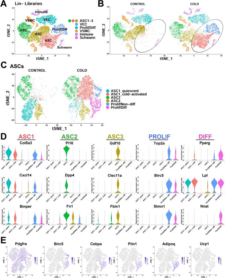 https://cdn.ncbi.nlm.nih.gov/pmc/blobs/261d/9348851/8309d2d25bc6/elife-80167-fig2.jpg