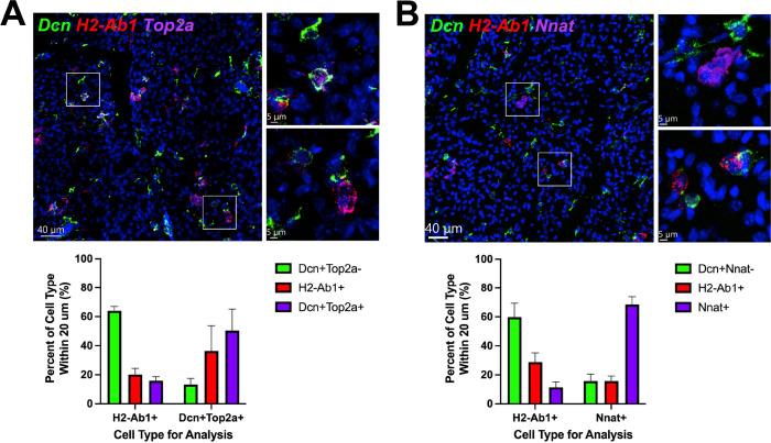 https://cdn.ncbi.nlm.nih.gov/pmc/blobs/261d/9348851/cb6d765b9e0c/elife-80167-fig8.jpg