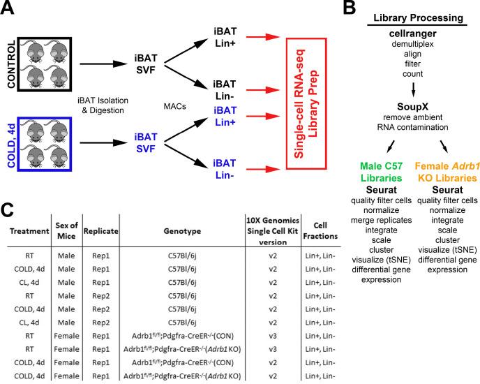 https://cdn.ncbi.nlm.nih.gov/pmc/blobs/261d/9348851/dd5eab2ca84b/elife-80167-fig2-figsupp1.jpg