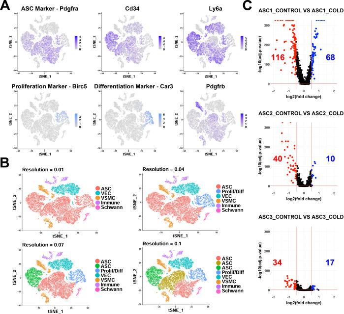 https://cdn.ncbi.nlm.nih.gov/pmc/blobs/261d/9348851/ea7294ec22ca/elife-80167-fig2-figsupp2.jpg