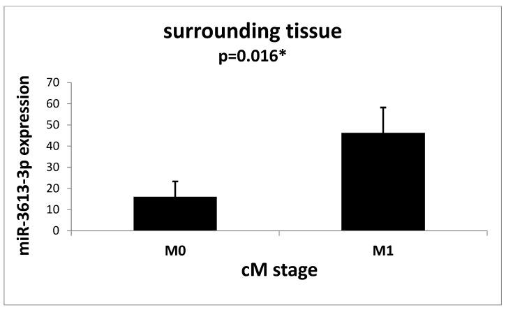 https://cdn.ncbi.nlm.nih.gov/pmc/blobs/261e/10531160/523c736c58b2/ijms-24-14023-g005.jpg