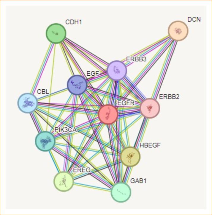 https://cdn.ncbi.nlm.nih.gov/pmc/blobs/261e/11960576/2d10ea545b65/1678-2674-acb-40-e401725-gf08.jpg