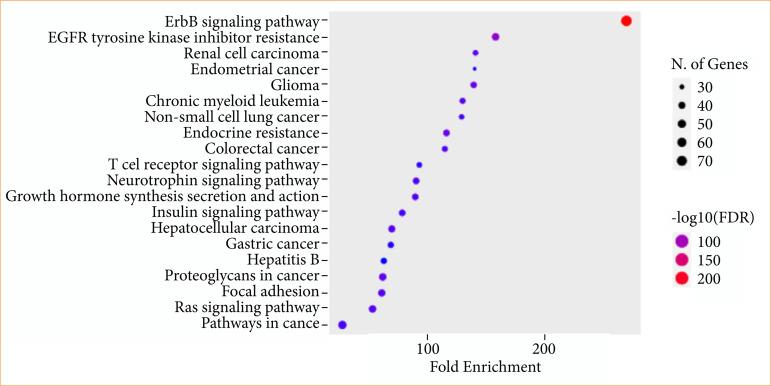 https://cdn.ncbi.nlm.nih.gov/pmc/blobs/261e/11960576/e6e4518130d1/1678-2674-acb-40-e401725-gf09.jpg