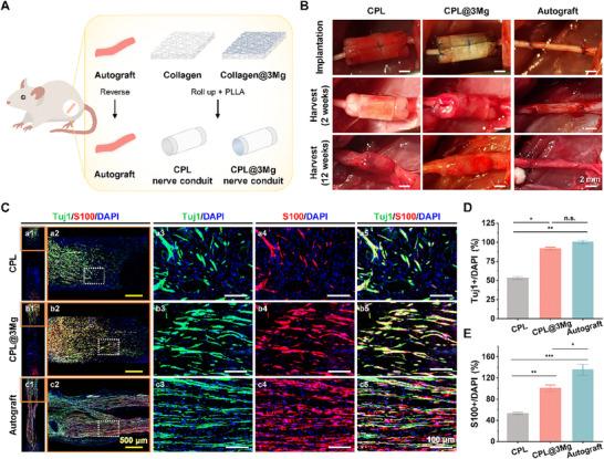 https://cdn.ncbi.nlm.nih.gov/pmc/blobs/261f/12333477/9e156fee7a28/ADHM-14-0-g006.jpg