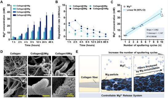 https://cdn.ncbi.nlm.nih.gov/pmc/blobs/261f/12333477/b76c295ee77b/ADHM-14-0-g003.jpg