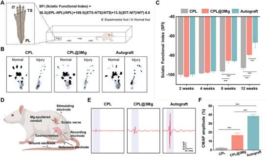 https://cdn.ncbi.nlm.nih.gov/pmc/blobs/261f/12333477/fb607b122b1d/ADHM-14-0-g008.jpg