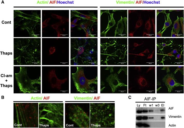https://cdn.ncbi.nlm.nih.gov/pmc/blobs/2622/3996523/af217edac5ef/gr8.jpg
