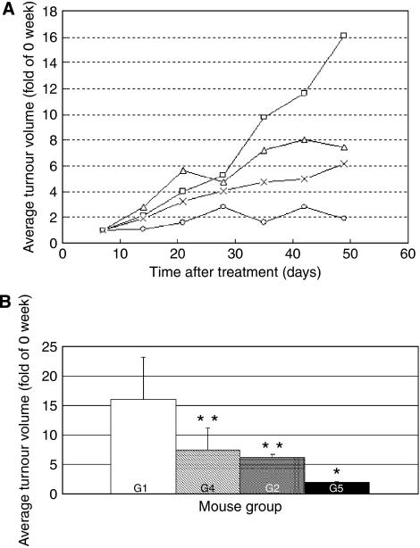 https://cdn.ncbi.nlm.nih.gov/pmc/blobs/2623/2360253/801bd5f681bf/6604058f1.jpg