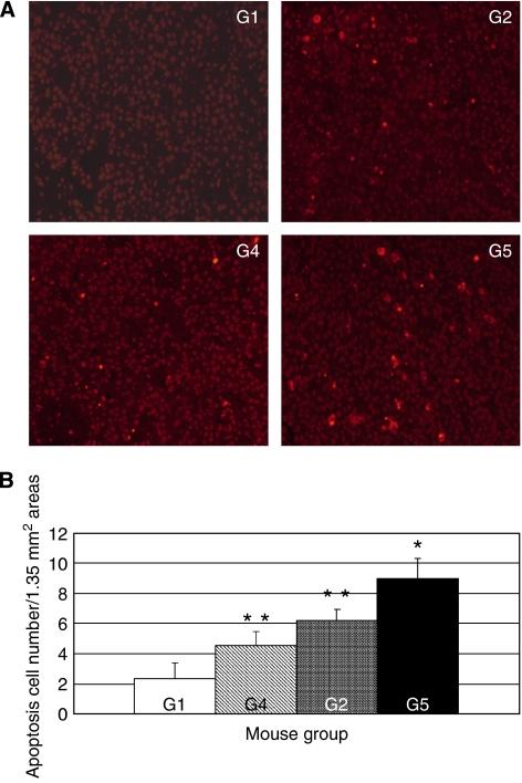 https://cdn.ncbi.nlm.nih.gov/pmc/blobs/2623/2360253/e70fe85ec4ea/6604058f2.jpg